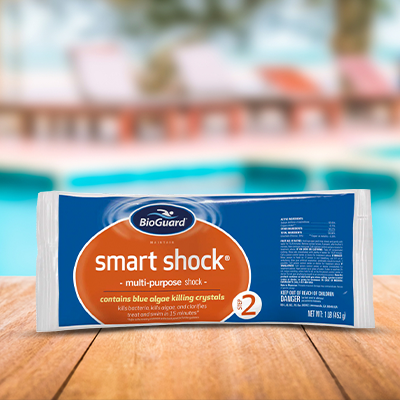 Bioguard Smart Shock– Pools Plus More