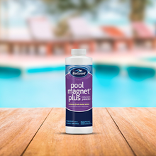 Bioguard Pool Magnet Plus (1 qt)