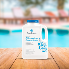 Spaguard Chlorinating Concentrate